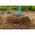 Ameisenpulver 250 g  No Pest Ant Done – Mittel gegen Ameisen im Haus und Garten, Granulat.